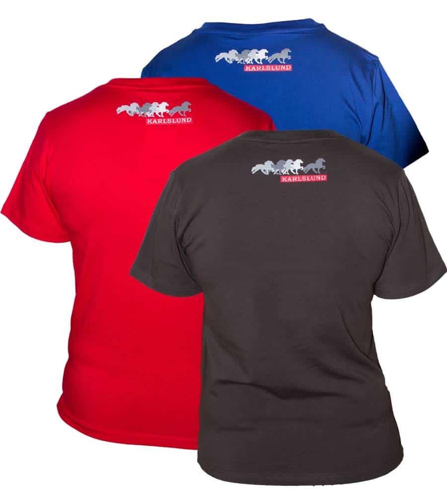 Karlslund T-shirt V-hals - Image 5