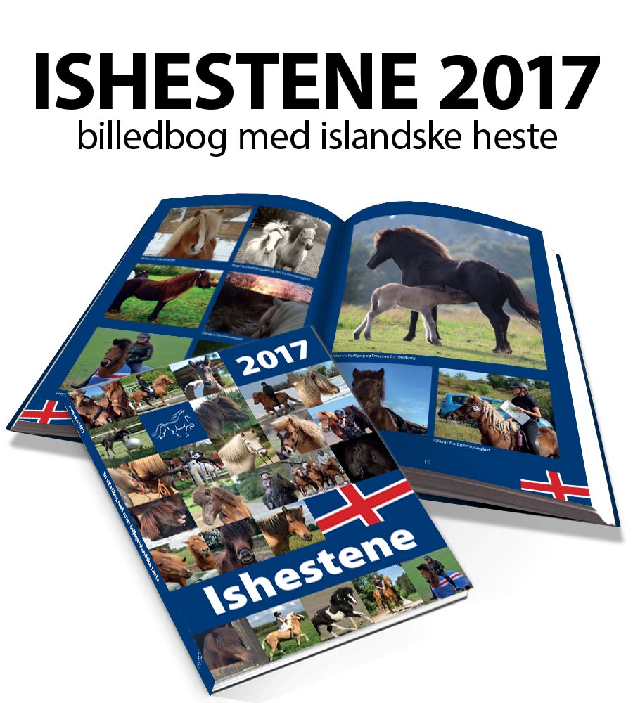 ISHESTENE 2017 - årets islænderbog